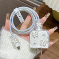 Glitter Butterfly Charger Case For iPhone 17 16 15 18W 20W US Fast AliExpress